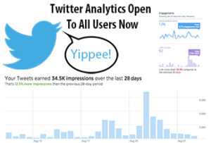 Twitter Analytics Now Open to All Users